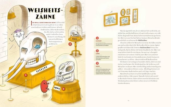 Produktbild: Das Museum der unn&uuml;tzen K&ouml;rperteile