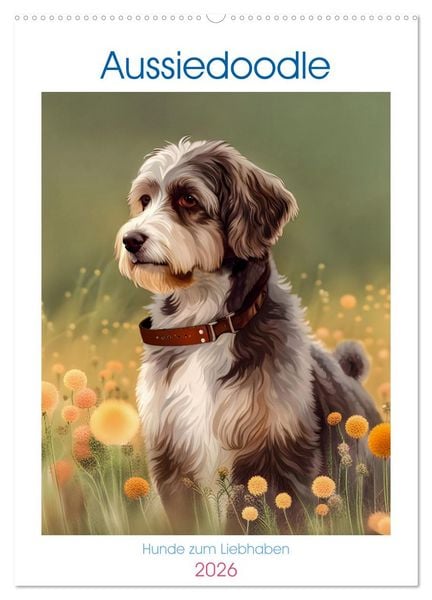 Produktbild: Aussiedoodle - Hunde zum Liebhaben (Wandkalender 2026 DIN A2 hoch), CALVENDO Monatskalender