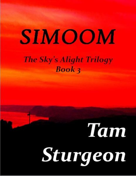 Produktbild: SIMOOM - The Sky's Alight Trilogy - Book 3