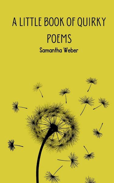 Produktbild: A Little Book of Quirky Poems
