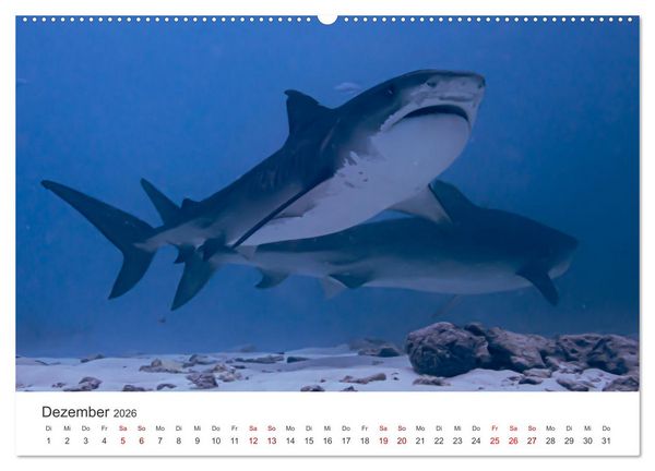 Produktbild: Faszination blaue Welt (hochwertiger Premium Wandkalender 2026 DIN A2 quer), Kunstdruck in Hochglanz