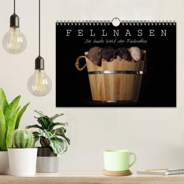Produktbild: Fellnasen. Die bunte Welt der Farbratten. (Wandkalender 2026 DIN A4 quer), CALVENDO Monatskalender