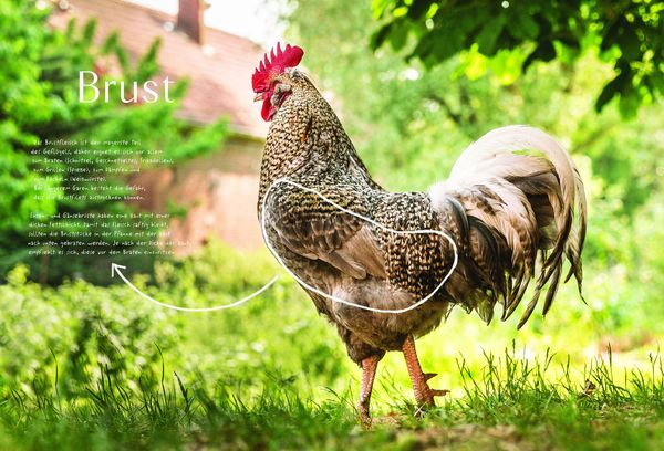 Produktbild: Das ganze Huhn