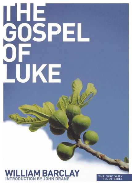 Produktbild: New Daily Study Bible