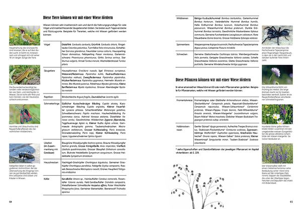 Produktbild: Praxishandbuch Stadtnatur
