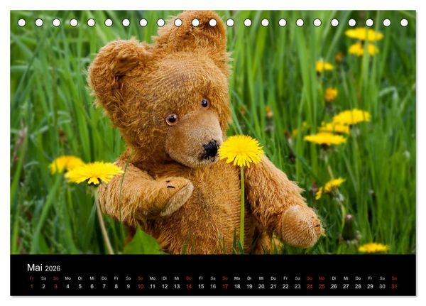 Produktbild: Teddy Basse, Fortsetzung... (Tischkalender 2026 DIN A5 quer), CALVENDO Monatskalender