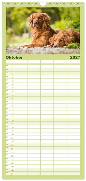 Produktbild: Familienplaner 2027 - Toller - Nova Scotia Duck Tolling Retriever mit 5 Spalten (Wandkalender, 21 x 45 cm) CALVENDO