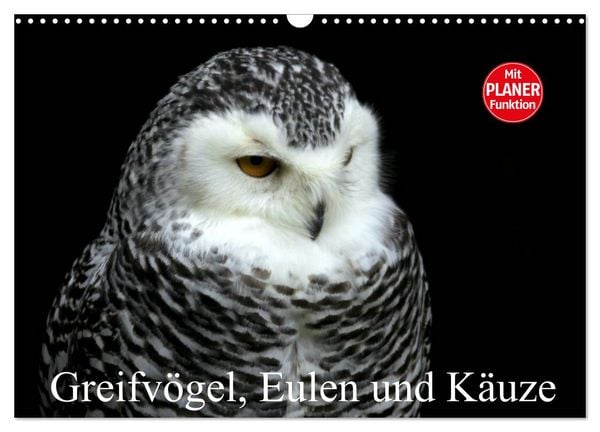 Produktbild: Greifv&ouml;gel, Eulen und K&auml;uze (Wandkalender 2026 DIN A3 quer), CALVENDO Monatskalender