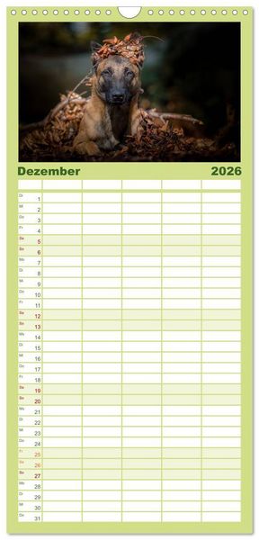 Produktbild: Familienplaner 2026 - Belgischer Sch&auml;ferhund - Der Malinois mit 5 Spalten (Wandkalender, 21 x 45 cm) CALVENDO
