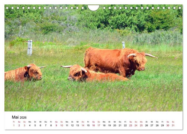 Produktbild: Langeoog - Sommer, Sonne, Strand (Wandkalender 2026 DIN A4 quer), CALVENDO Monatskalender
