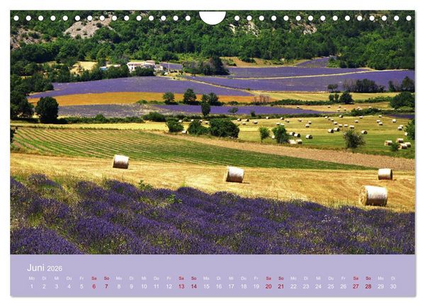 Produktbild: Die Farben der Provence... und der Duft des Lavendels... (Wandkalender 2026 DIN A4 quer), CALVENDO Monatskalender