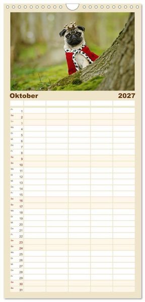 Produktbild: Familienplaner 2027 - Lustige M&ouml;pse aus der Hundeknipserei mit 5 Spalten (Wandkalender, 21 x 45 cm) CALVENDO