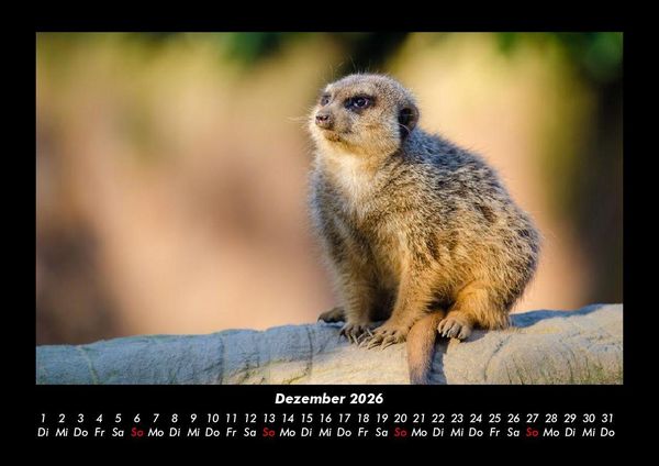 Produktbild: Tierkalender 2026 Fotokalender DIN A3