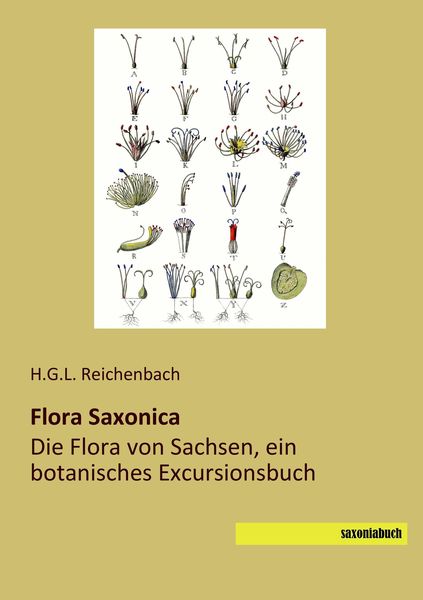 Produktbild: Flora Saxonica