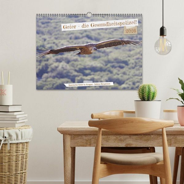 Produktbild: Geier - die Gesundheitspolizei! (Wandkalender 2026 DIN A3 quer), CALVENDO Monatskalender