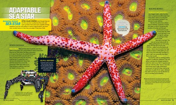 Produktbild: Beastly Bionics