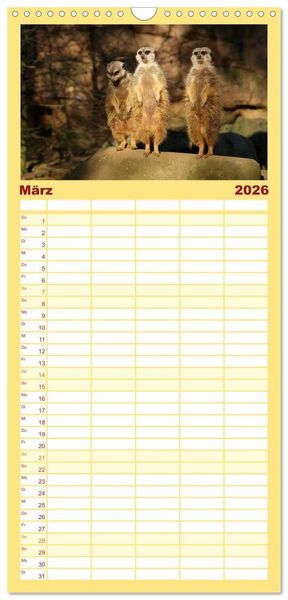 Produktbild: Familienplaner 2026 - Erdm&auml;nnchen - Zusammen sind wir stark mit 5 Spalten (Wandkalender, 21 x 45 cm) CALVENDO
