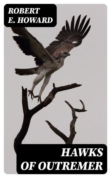 Produktbild: Hawks of Outremer