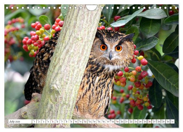 Produktbild: Wildlife of the Tundra (Wall Calendar 2026 DIN A4 landscape), CALVENDO 12 Month Wall Calendar