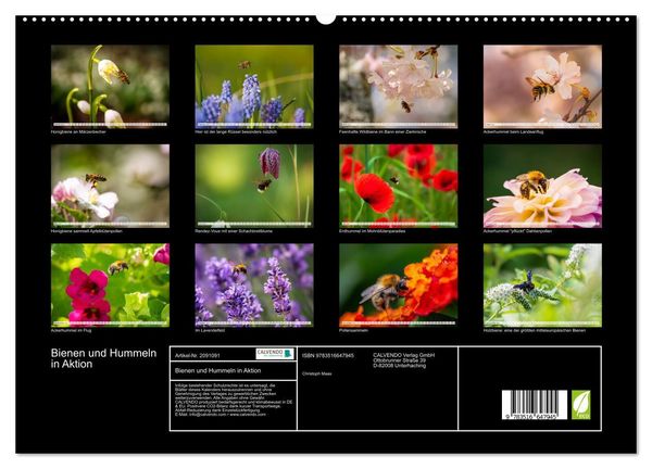Produktbild: Bienen und Hummeln in Aktion (hochwertiger Premium Wandkalender 2026 DIN A2 quer), Kunstdruck in Hochglanz