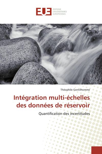 Produktbild: Int&eacute;gration multi-&eacute;chelles des donn&eacute;es de r&eacute;servoir