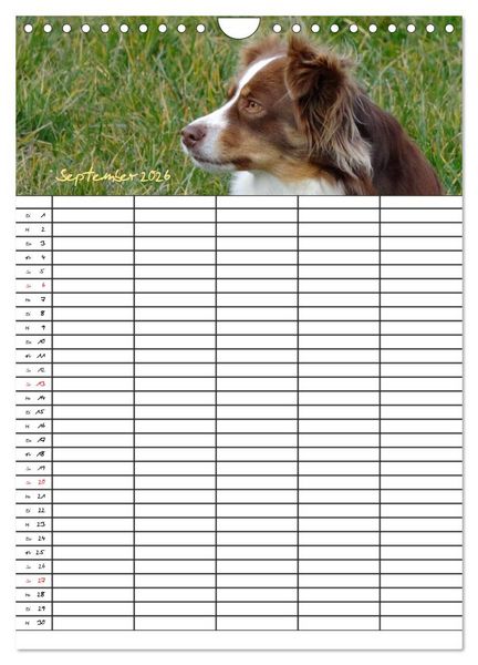 Produktbild: Bauernhoftiere Familienplaner (Wandkalender 2026 DIN A4 hoch), CALVENDO Monatskalender
