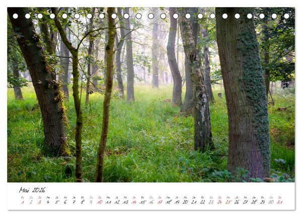 Produktbild: Mein Fischland! Unterwegs auf dem Dar&szlig; (Tischkalender 2026 DIN A5 quer), CALVENDO Monatskalender