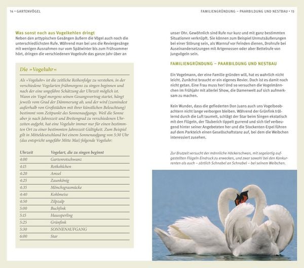 Produktbild: Gartenv&ouml;gel