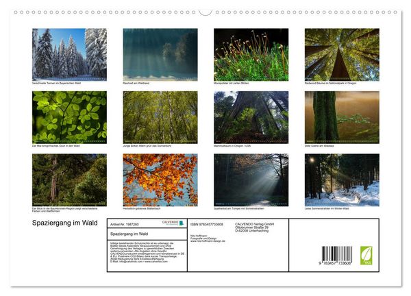 Produktbild: Spaziergang im Wald (hochwertiger Premium Wandkalender 2026 DIN A2 quer), Kunstdruck in Hochglanz