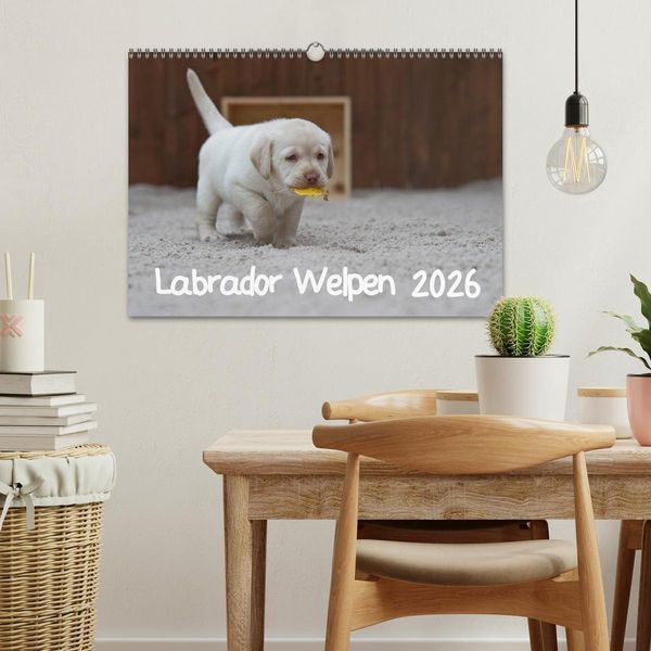 Produktbild: Labrador Welpen (Wandkalender 2026 DIN A3 quer), CALVENDO Monatskalender