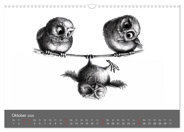 Produktbild: owls & friends 2026 (Wandkalender 2026 DIN A3 quer), CALVENDO Monatskalender