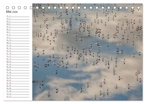 Produktbild: Emotionale Momente: Mein wildes Afrika (Tischkalender 2026 DIN A5 quer), CALVENDO Monatskalender