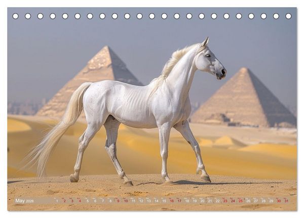 Produktbild: White Horses in Splendor (Desk Calendar 2026 DIN A5 landscape), CALVENDO 12 Month DeskCalendar