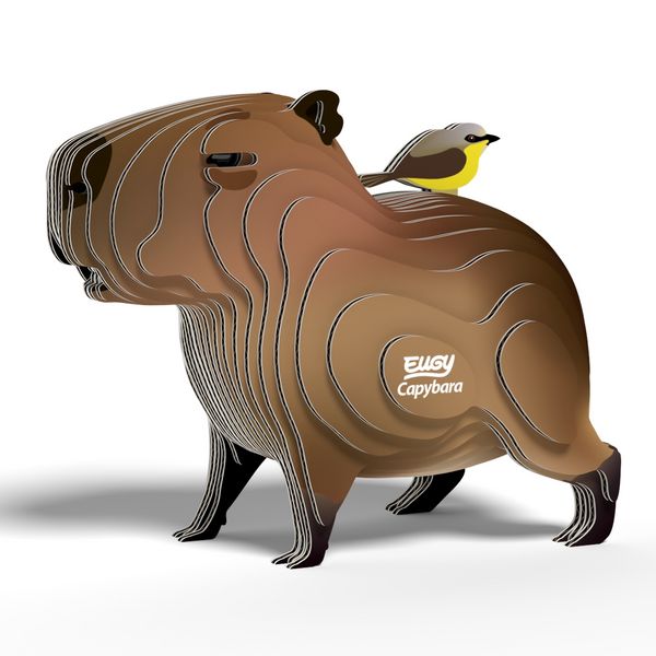 Produktbild: EUGY - 3D Bastelset Wasserschwein