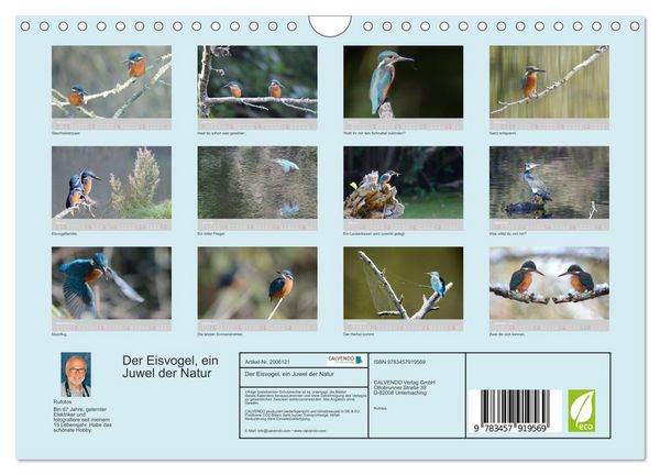 Produktbild: Der Eisvogel, ein Juwel der Natur (Wandkalender 2026 DIN A4 quer), CALVENDO Monatskalender