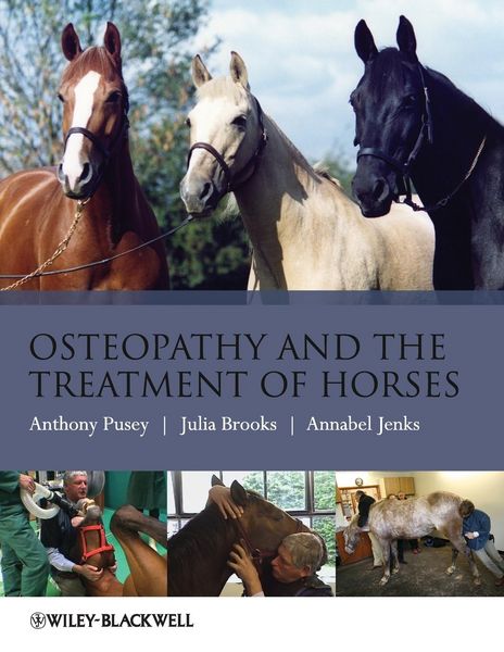 Produktbild: Osteopathy and the Treatment of Horses