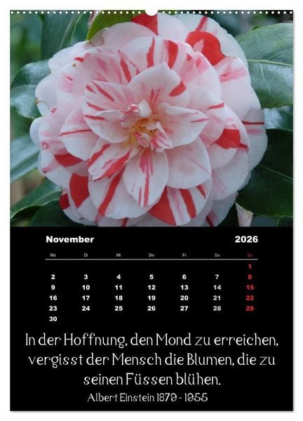 Produktbild: Spr&uuml;che und Zitate ber&uuml;hmter Personen &uuml;ber Blumen und Natur (hochwertiger Premium Wandkalender 2026 DIN A2 hoch), Kunstdruck in Hochglanz