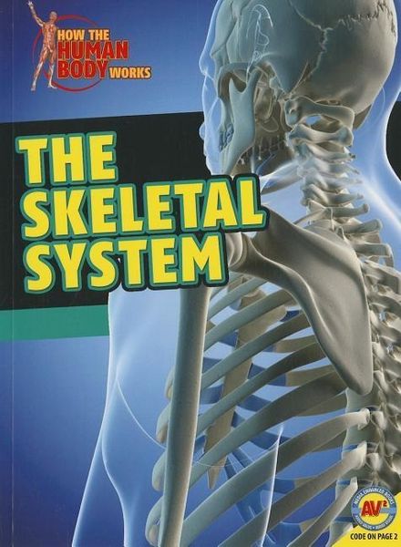Produktbild: The Skeletal System