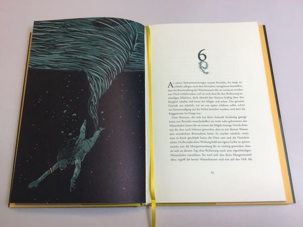 Produktbild: Die neue Undine