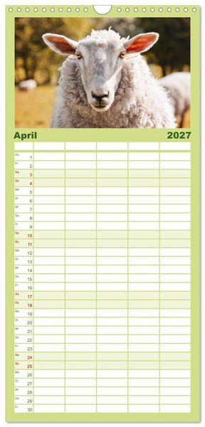 Produktbild: Familienplaner 2027 - Schafe - Weich und wollig mit 5 Spalten (Wandkalender, 21 x 45 cm) CALVENDO