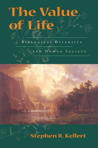Produktbild: The Value of Life
