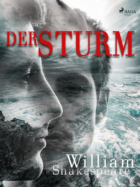 Produktbild: Der Sturm