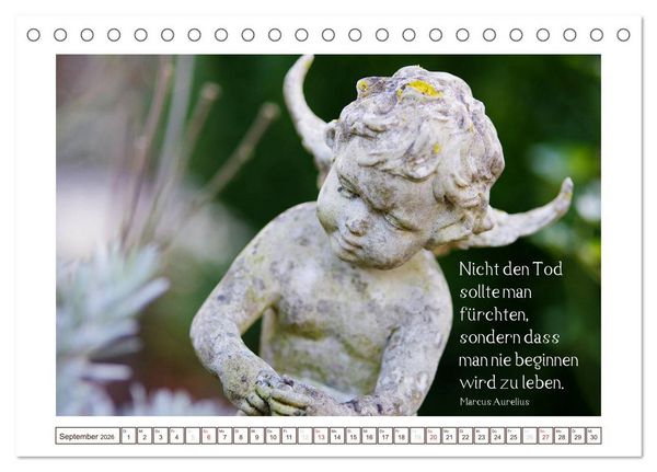 Produktbild: Engel-Kalender mit Zitaten (Tischkalender 2026 DIN A5 quer), CALVENDO Monatskalender