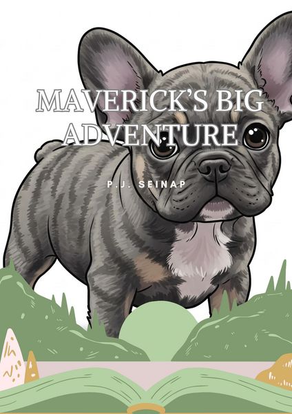 Produktbild: Maverick's Big Adventure
