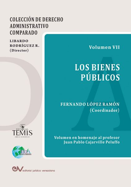Produktbild: Los bienes p&uacute;blicos