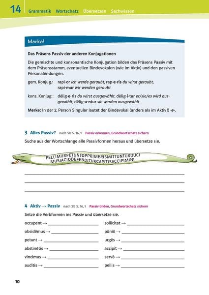 Produktbild: Pontes 02 Das Trainingsbuch zum Schulbuch