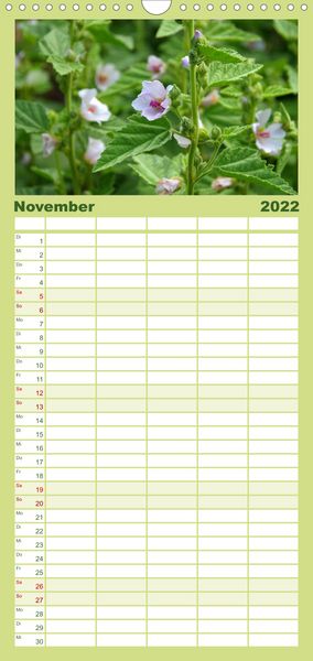 Produktbild: Familienplaner Arzneipflanzen (Wandkalender 2022 , 21 cm x 45 cm, hoch)