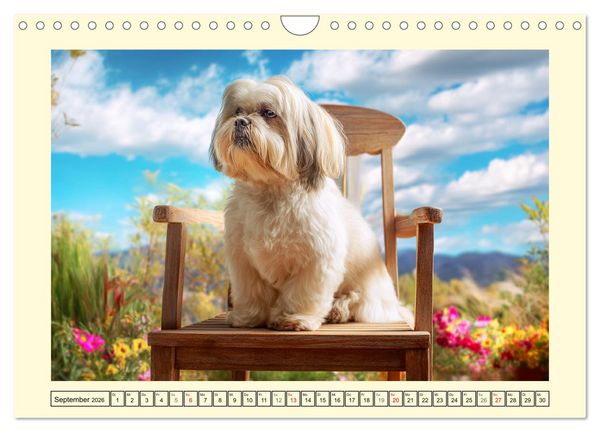 Produktbild: Lhasa Apso Charme. Die kleinen H&uuml;ter des Gl&uuml;cks (Wandkalender 2026 DIN A4 quer), CALVENDO Monatskalender