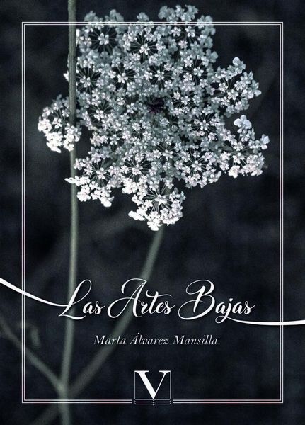 Produktbild: Las artes bajas