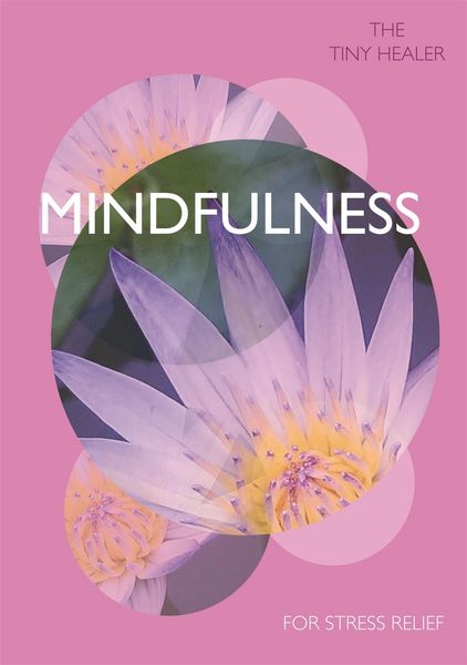 Produktbild: Pyramid: Tiny Healer Mindfulness